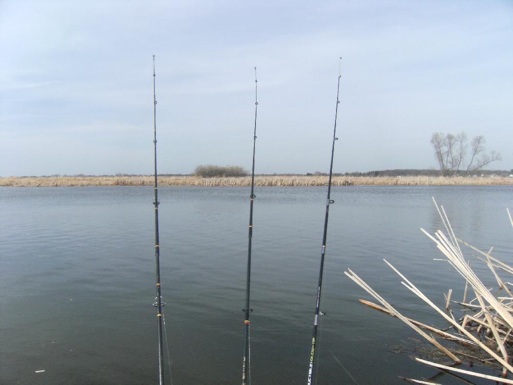 Mulliken fishing photo 0