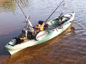 dace