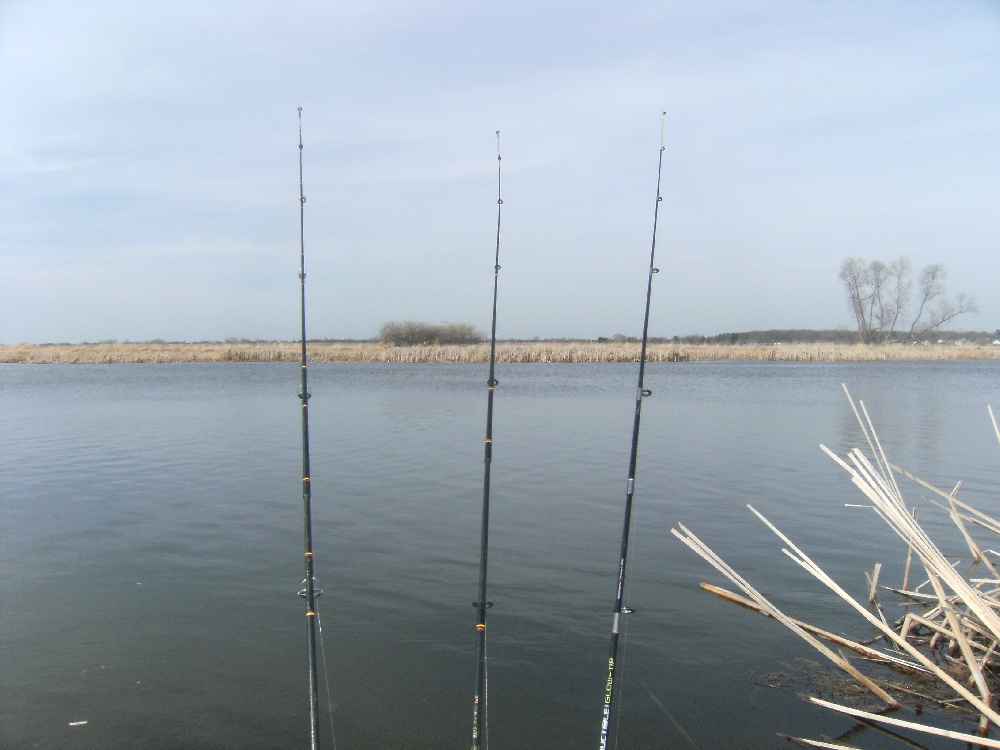 DeWitt fishing photo 0