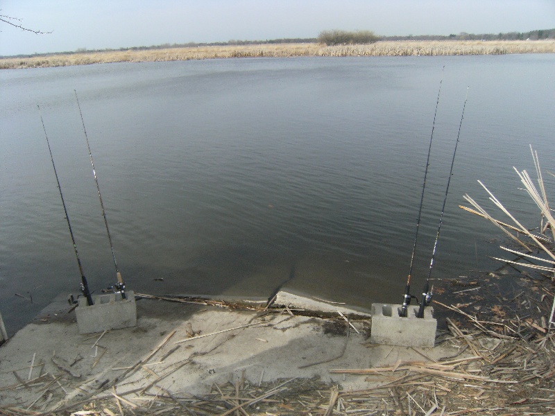 on the bank near Spring Lake