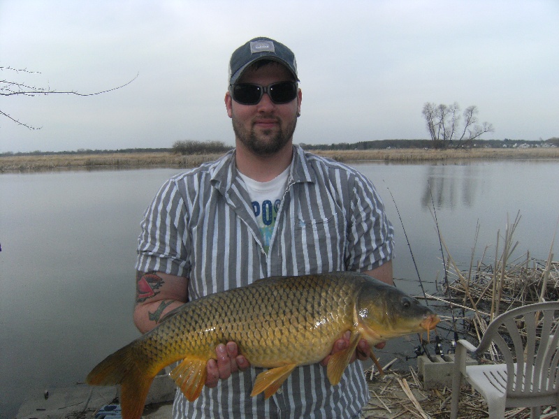 Carp near Coopersville