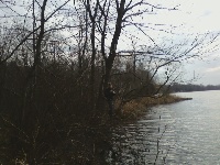 hutchins lake 2 Fishing Report