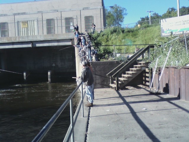 allegan dam near Otsego