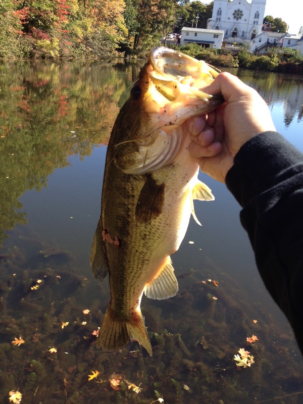 4lb Chunk